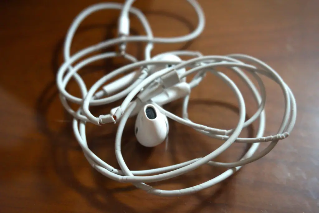 Do Apple Headphones (Earphones) Work On PS4?