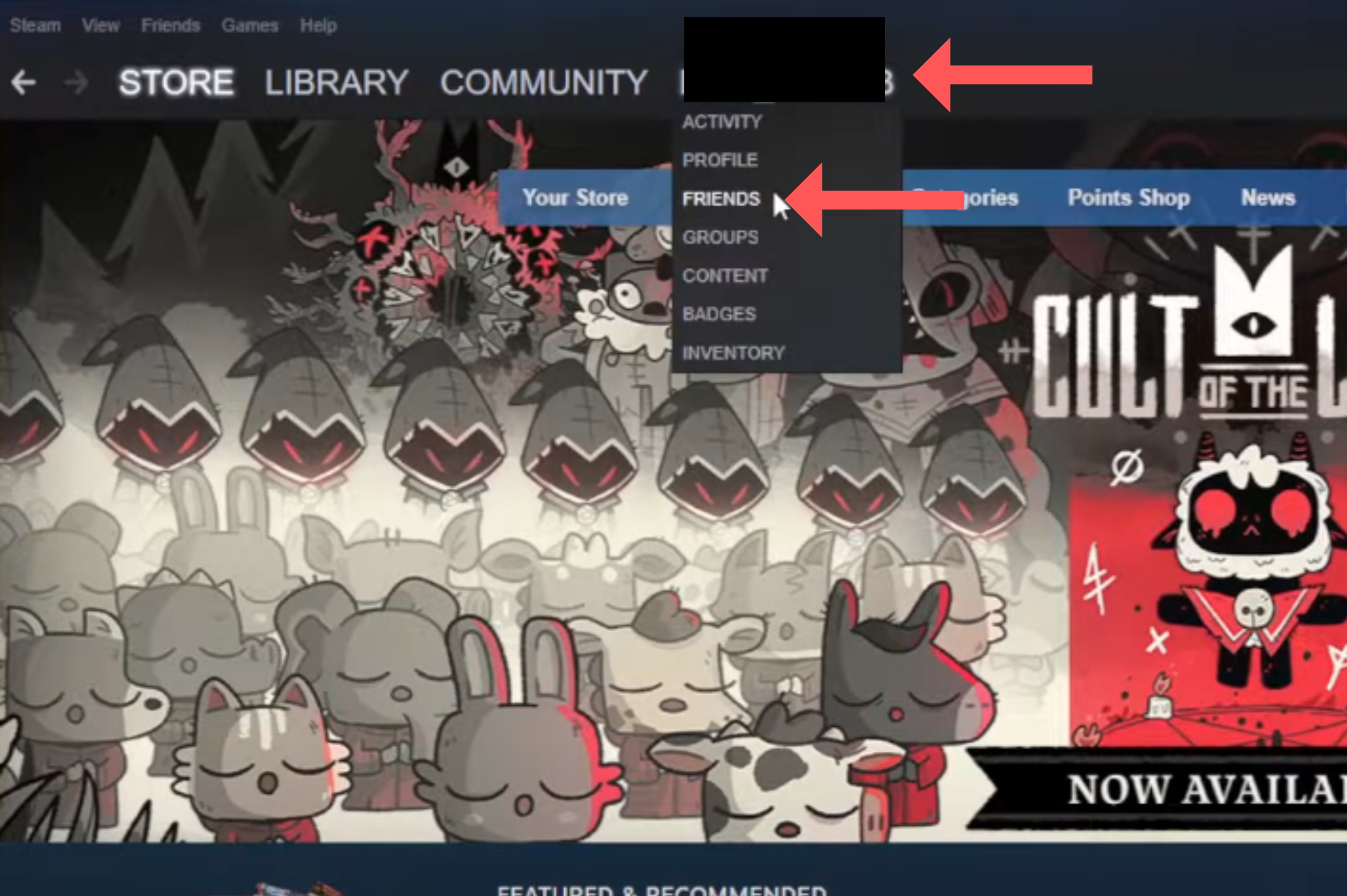 Locating Friends On Steam 