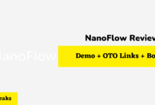 nanoflow-review