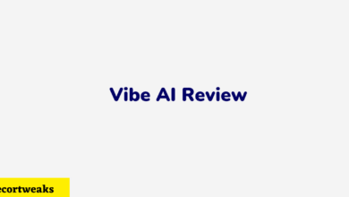 Vibe AI Review